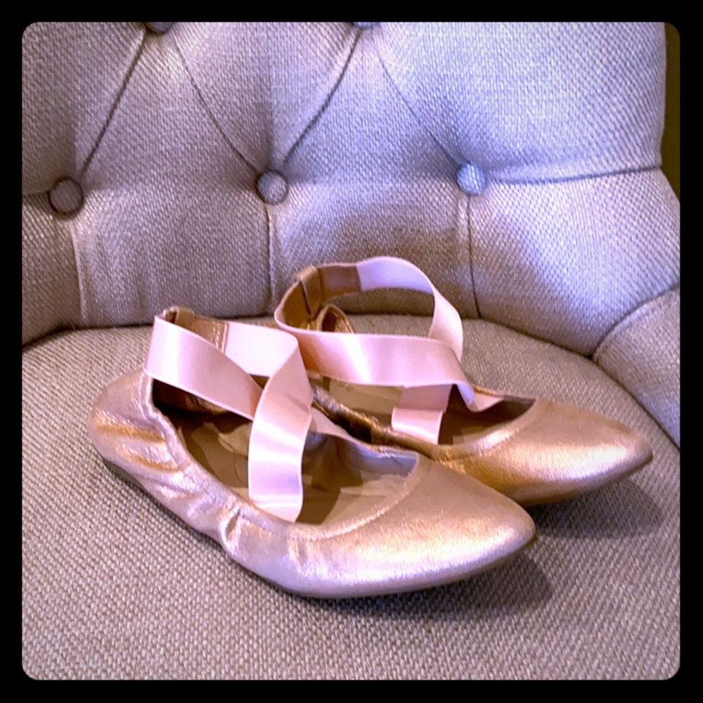 Taryn Rose Ballet Flats- only worn twice!